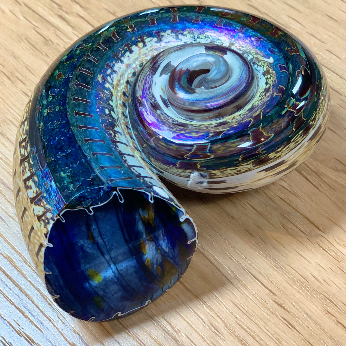 Iridescent glass shell - Midnight Blue