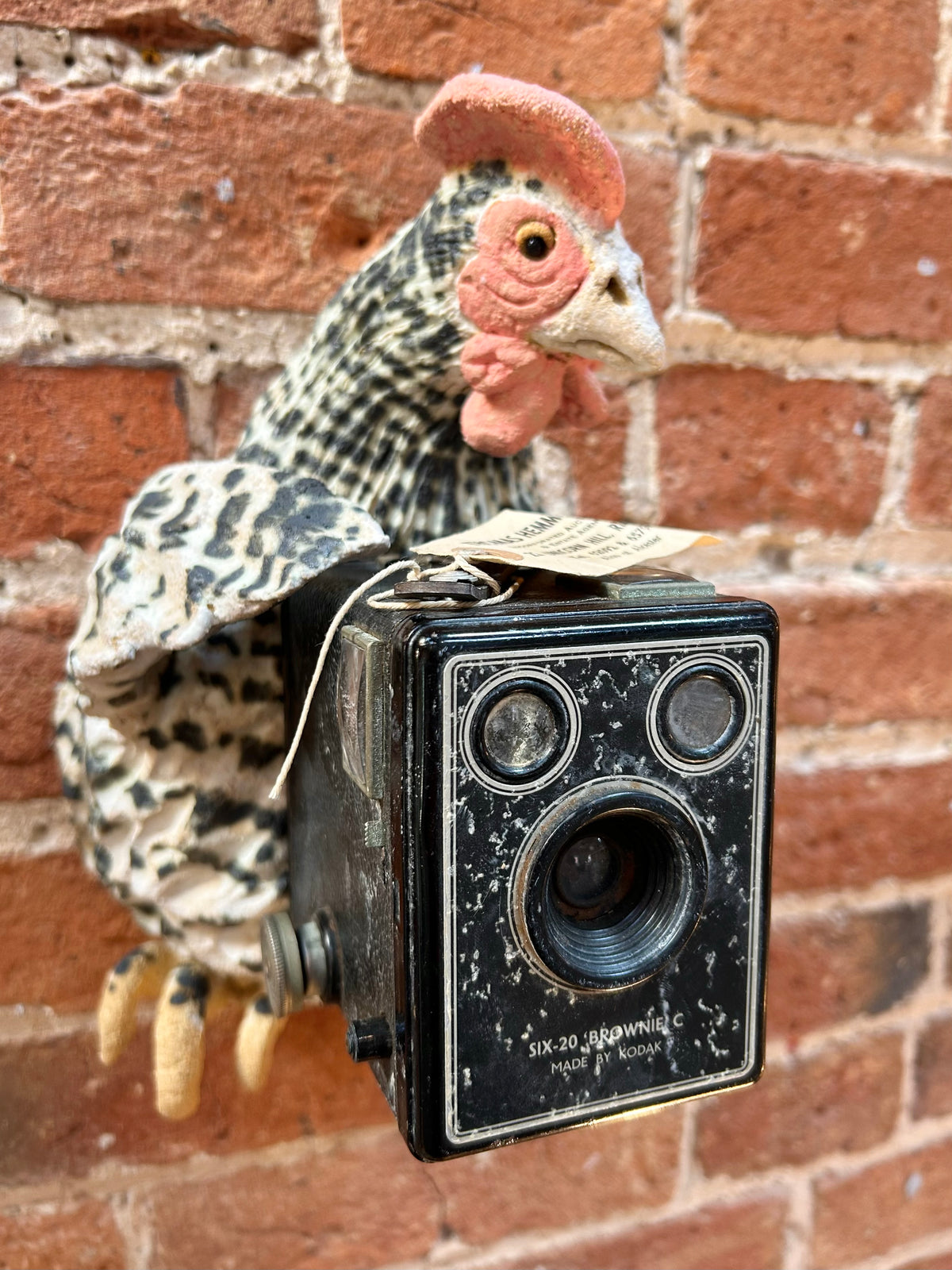 Ceramic Animal Wall Art