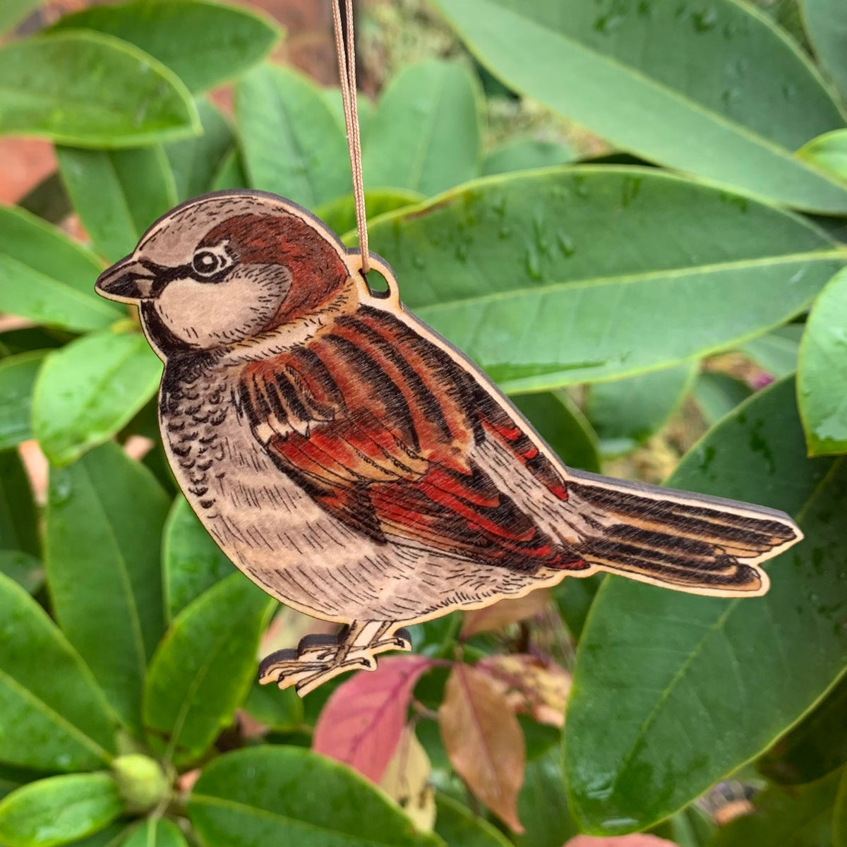 Boxed wooden bird tree decoration set